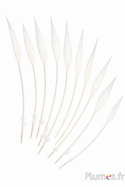 Goudfazant pijl - 14-18 cm - wit-crème
